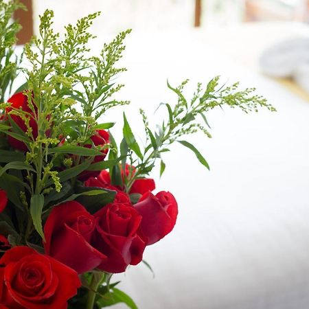 Ilalo Garden Hotel & Restaurant Кито Екстериор снимка